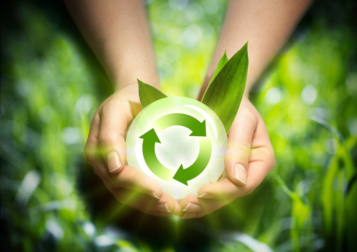 Turn Your Home Green – 6 Ways to Become More Environmentally Friendly